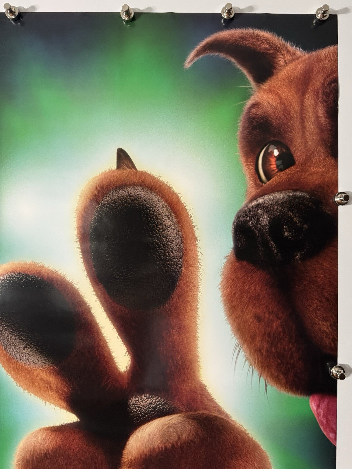 Scooby-Doo 2 (A) - Original Movie Poster - 2004 - Rolled DS
